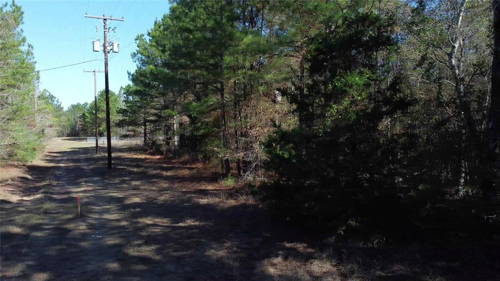 10714 Monterey School Road Vivian, LA 71082 - Photo 19 of 33 a view of outdoor space and yard