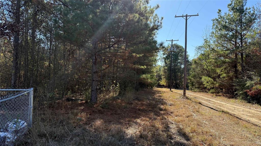 10714 Monterey School Road Vivian, LA 71082 - Photo 23 of 33 a view of a forest with trees