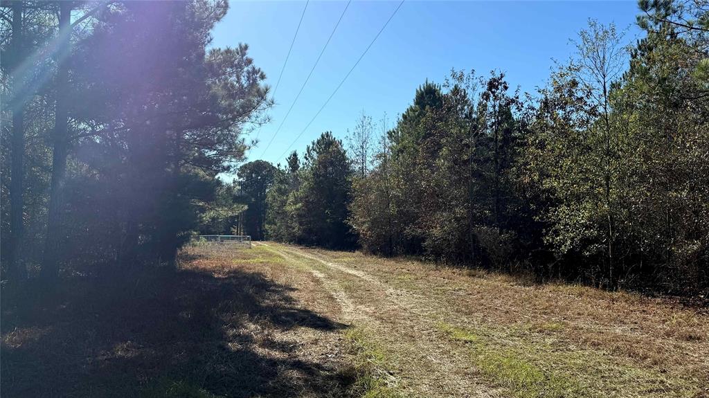 10714 Monterey School Road Vivian, LA 71082 - Photo 25 of 33 a view of outdoor space and yard