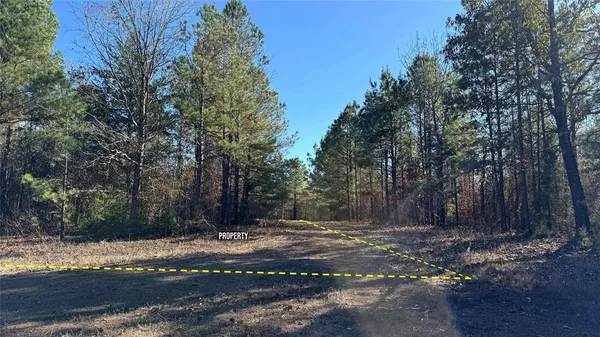 a view of a yard with trees