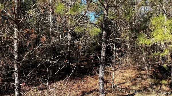 a view of a backyard of the house