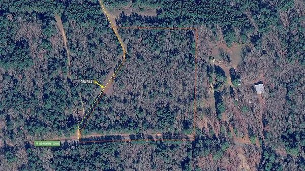 a backyard of a house with lots of plants and trees