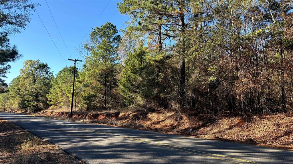 10714 Monterey School Road Vivian, LA 71082 - Photo 31 of 33 a view of street along with trees