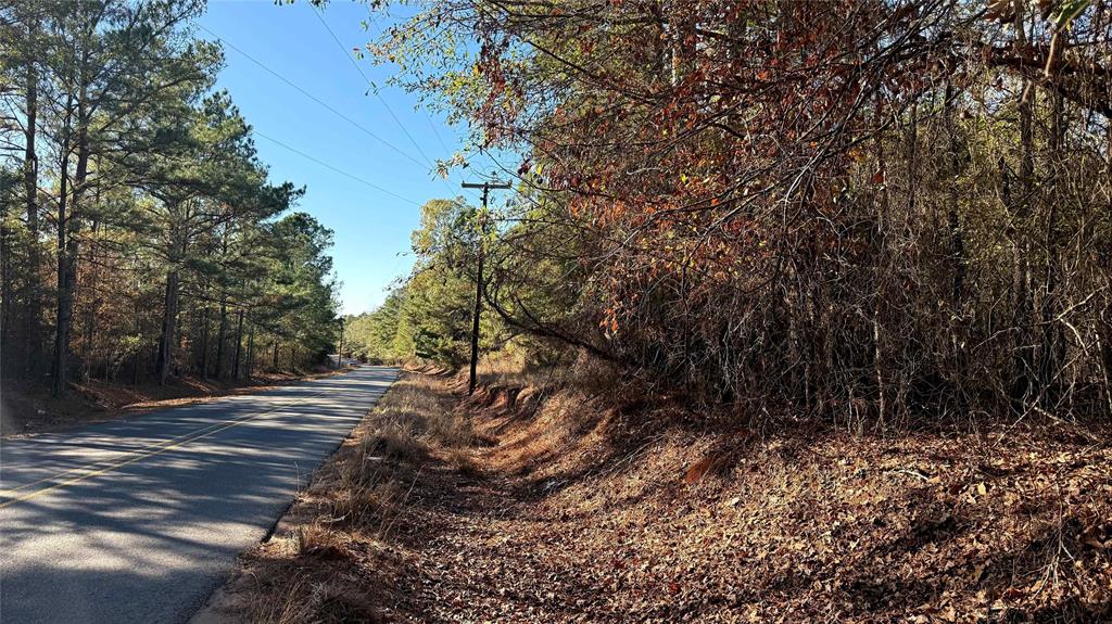 10714 Monterey School Road Vivian, LA 71082 - Photo 32 of 33 a view of outdoor space and yard