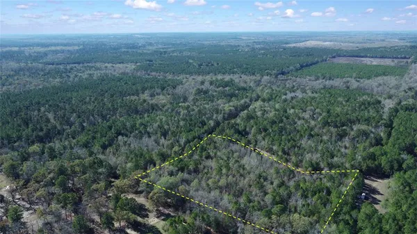 a view of a field of grass and trees