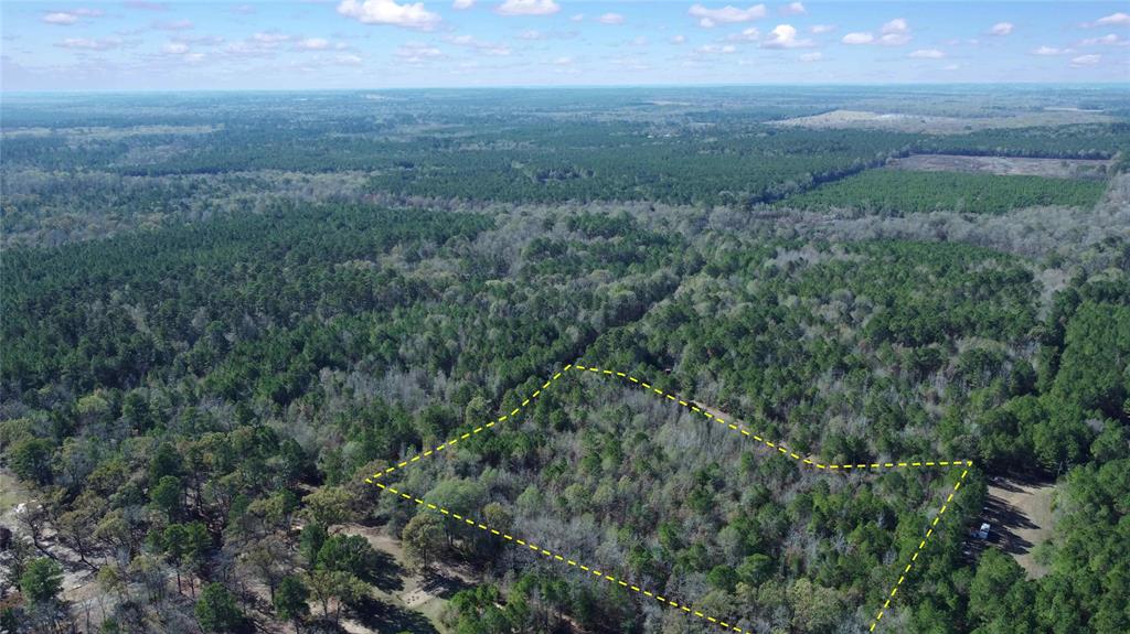 10714 Monterey School Road Vivian, LA 71082 - Photo 5 of 33 a view of a field of grass and trees