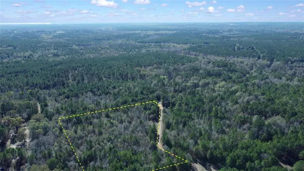 a view of a green field with lots of bushes