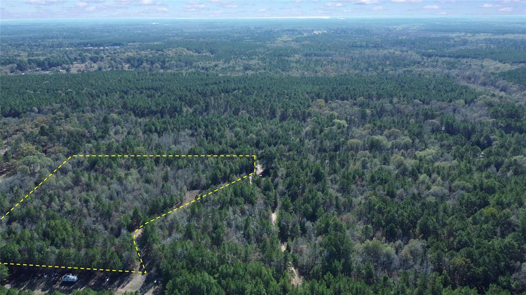 10714 Monterey School Road Vivian, LA 71082 - Photo 7 of 33 a view of a field of grass and trees