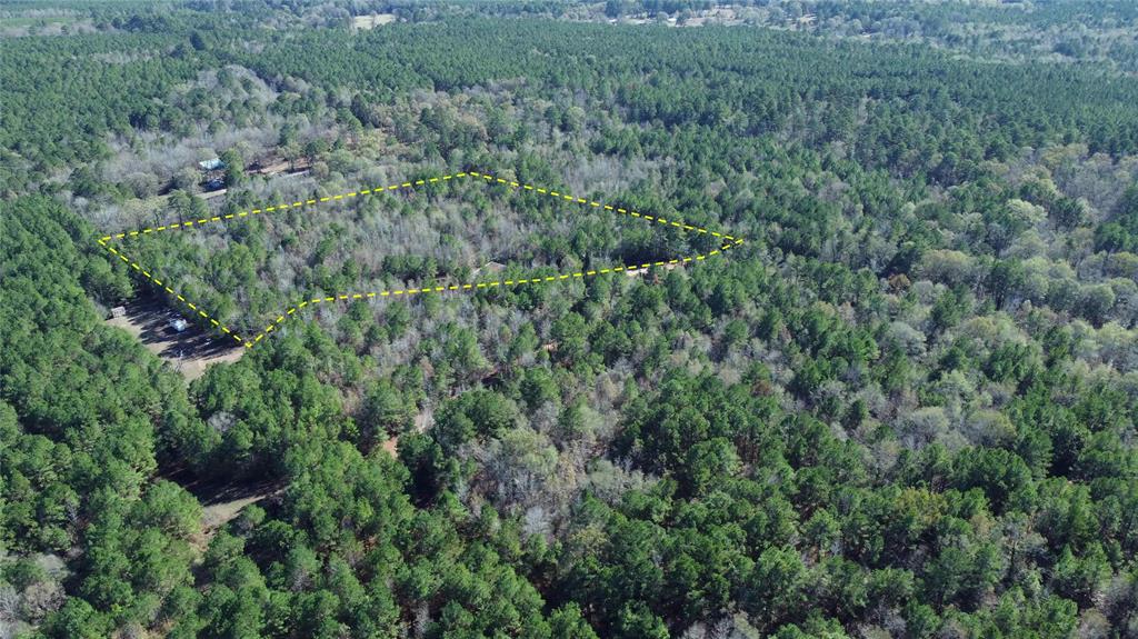 10714 Monterey School Road Vivian, LA 71082 - Photo 8 of 33 a view of a lush green forest