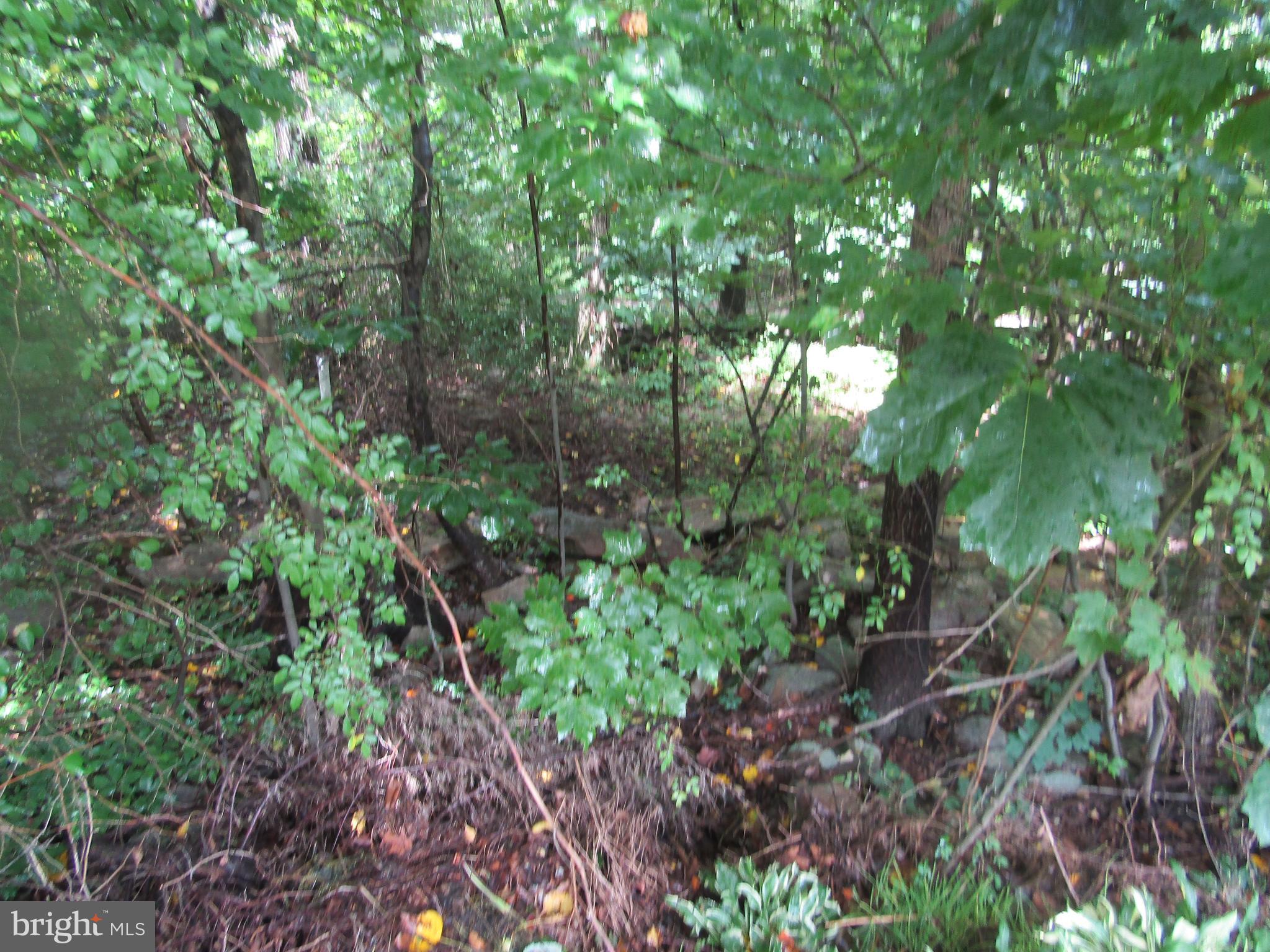 8041 Gnatstown Road Hanover, PA 17331 - Photo 14 of 76
