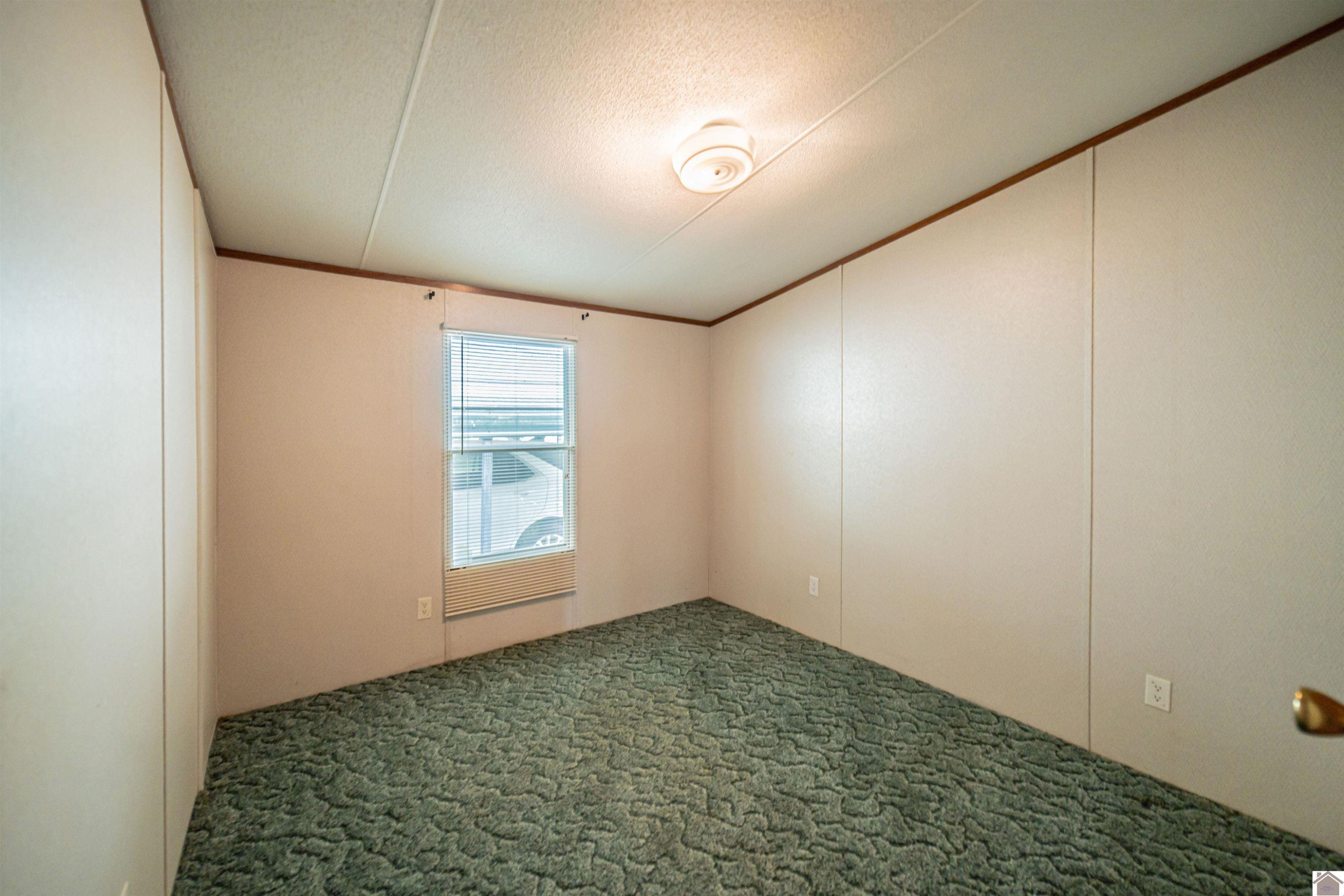 832 Irma Road Salem, KY 42078 - Photo 10 of 15 Photo 10