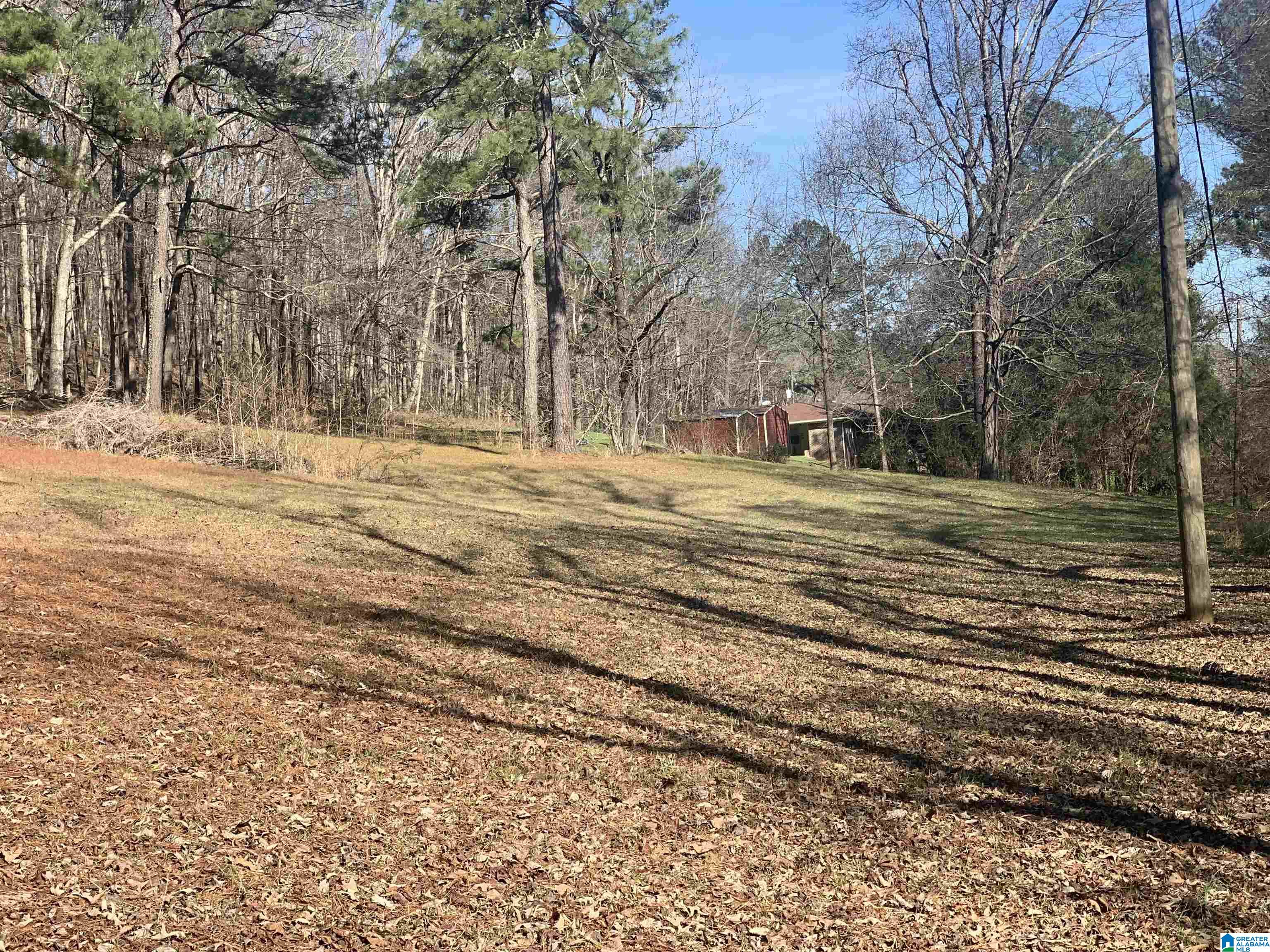9469 Highway 11 Springville, AL 35146 - Photo 22 of 29