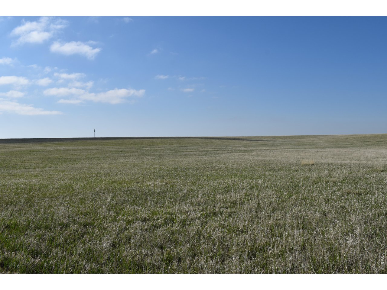County Road Akron, CO 80720 - Photo 6 of 13