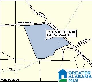 2621 Self Creek Road Warrior, AL 35180 - Photo 1 of 1