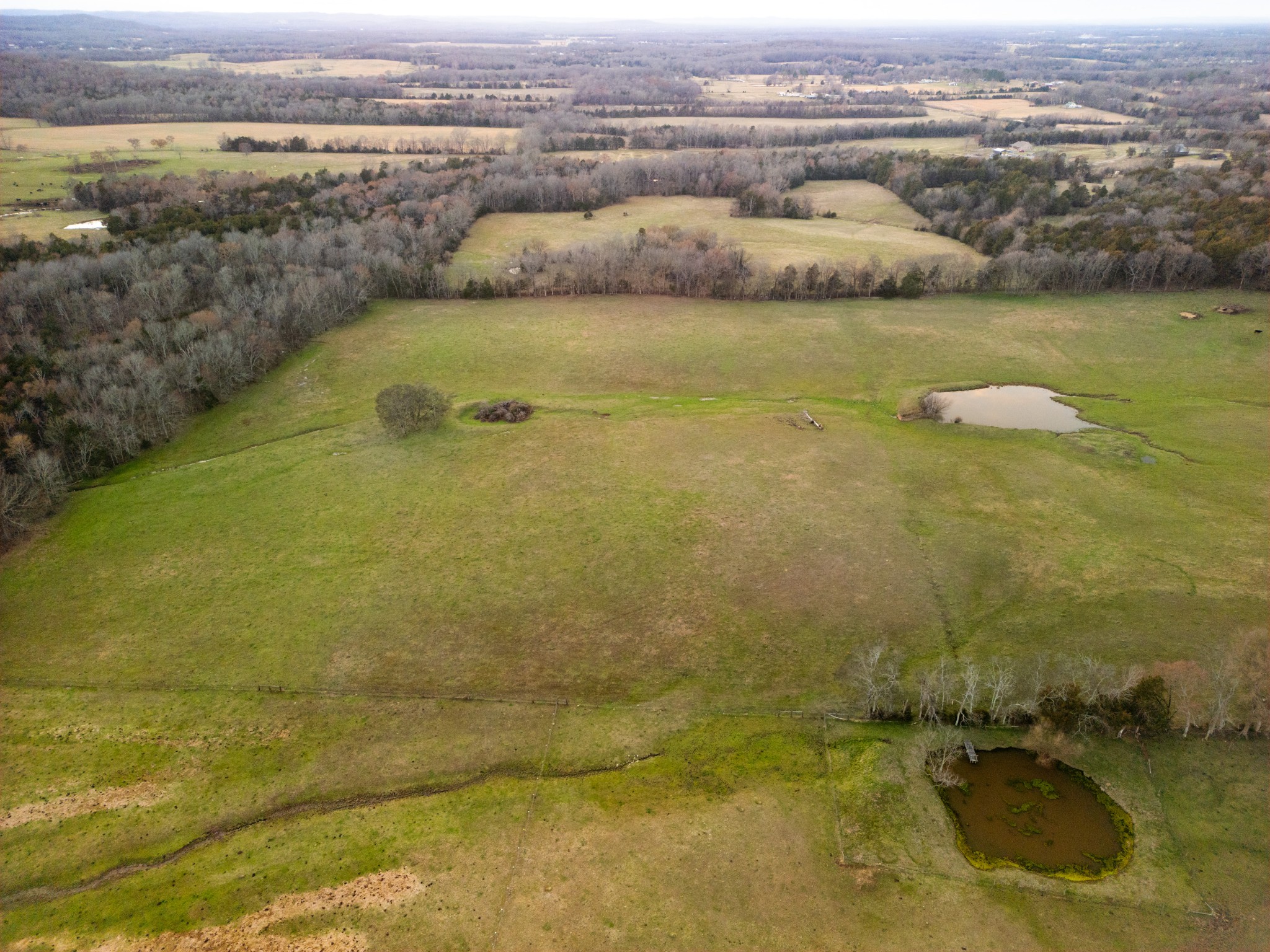 171 Uselton Road Shelbyville, TN 37160 - Photo 37 of 52 a view of a lake view