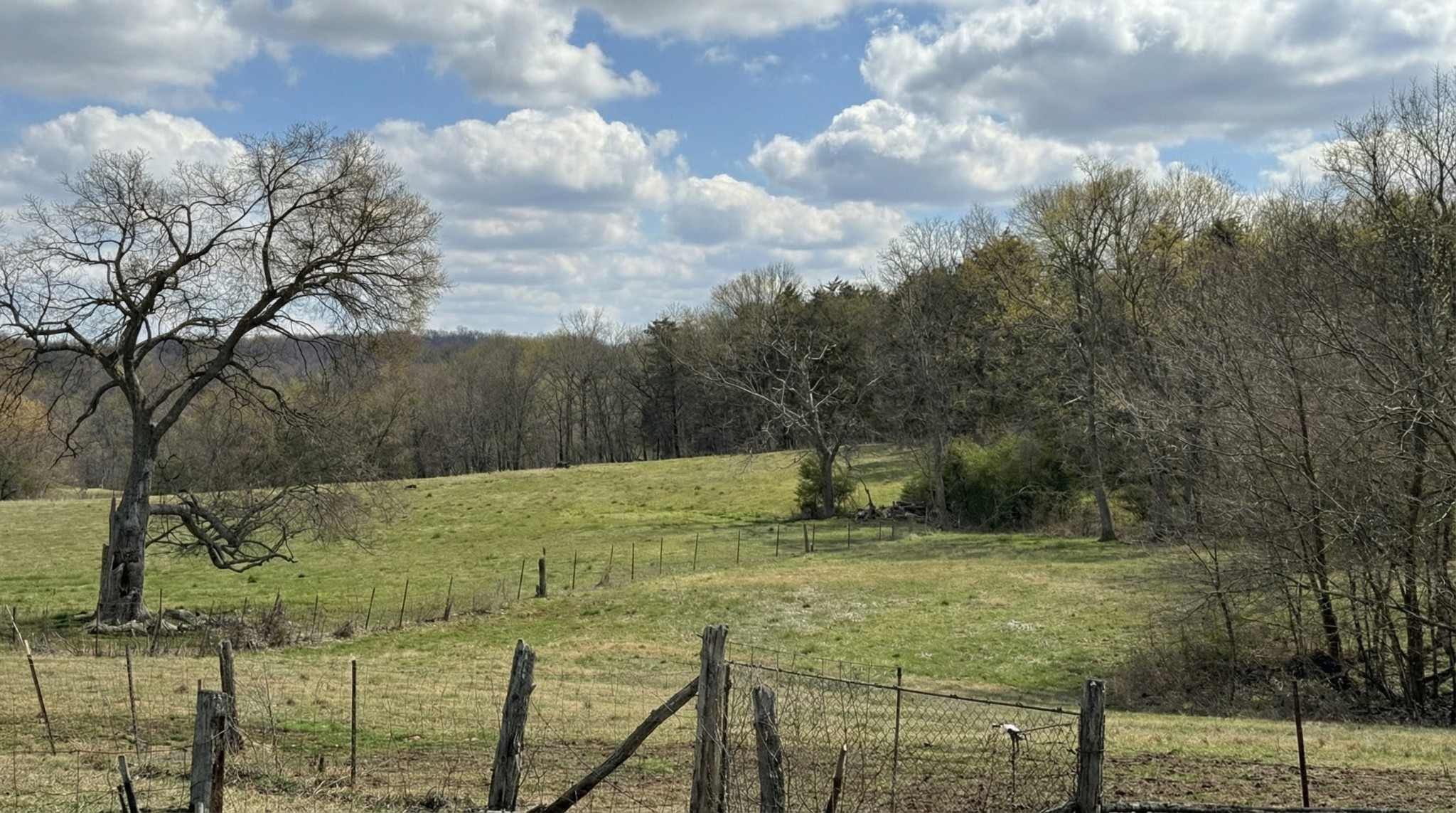 171 Uselton Road Shelbyville, TN 37160 - Photo 38 of 52 a view of a yard with wooden fence