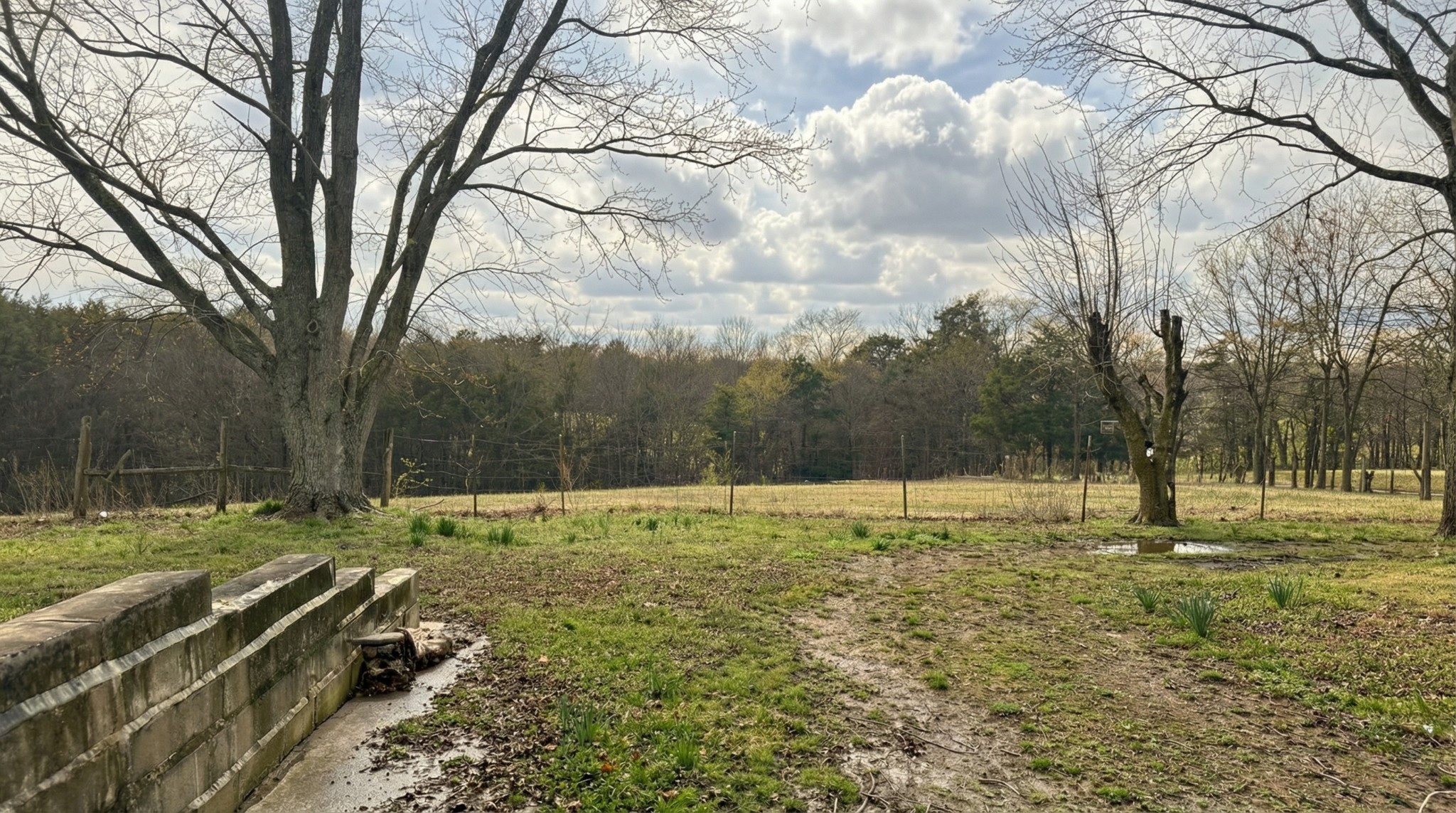 171 Uselton Road Shelbyville, TN 37160 - Photo 40 of 52