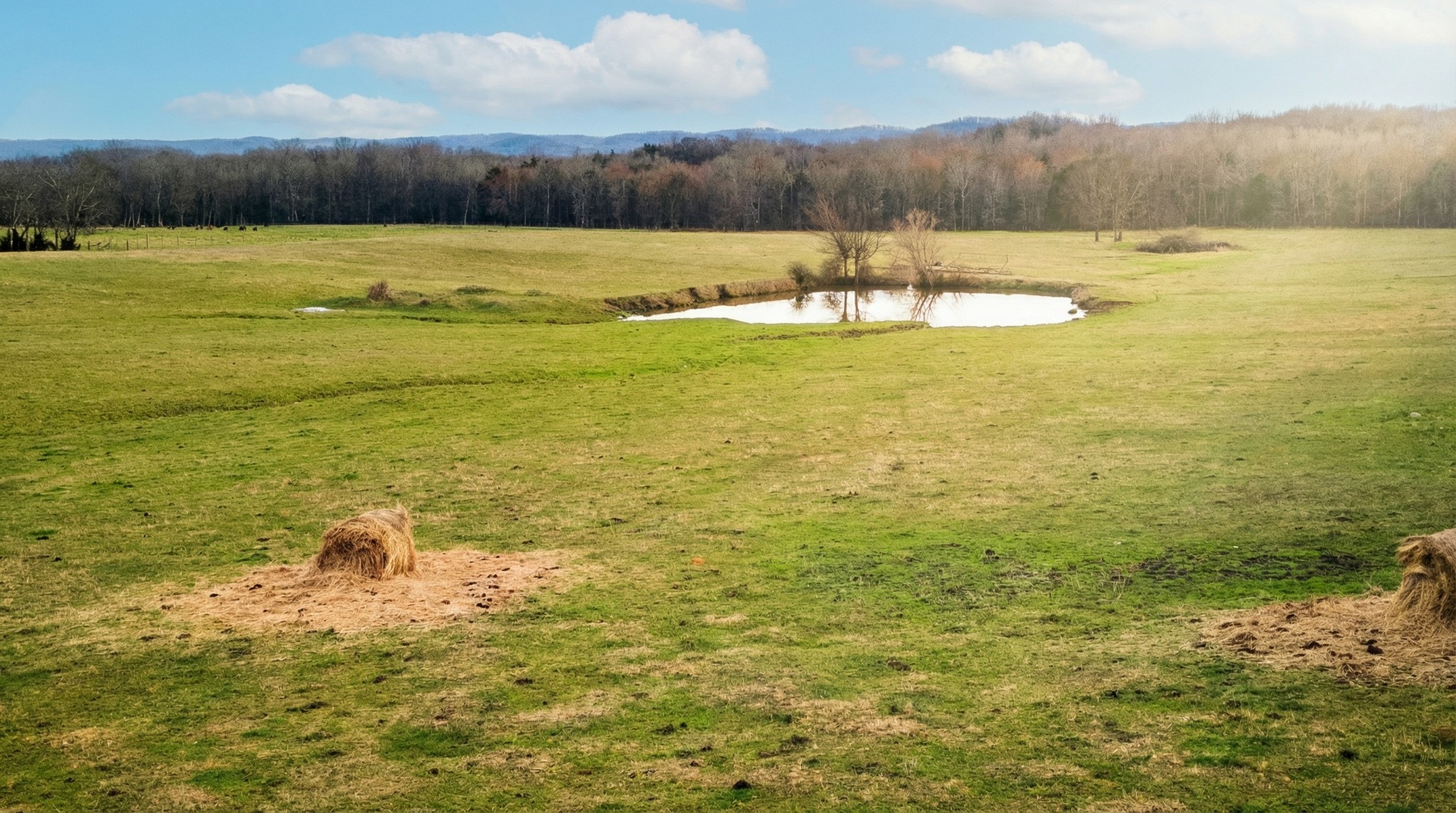 171 Uselton Road Shelbyville, TN 37160 - Photo 8 of 52 a view of a lake view