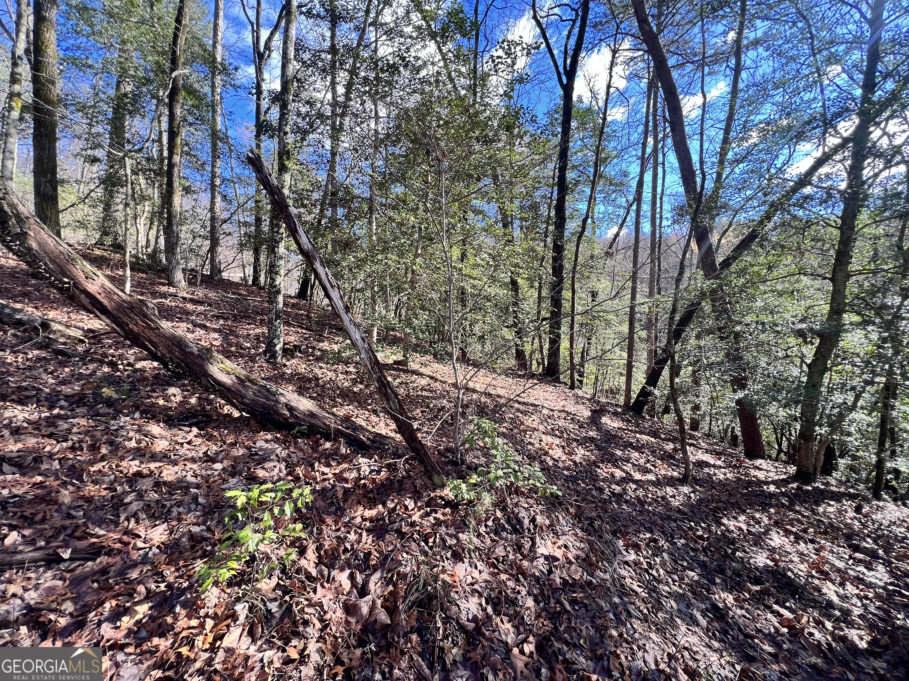 12-acres Still Road Clarkesville, GA 30523 - Photo 11 of 12 a backyard of a house with lots of green space