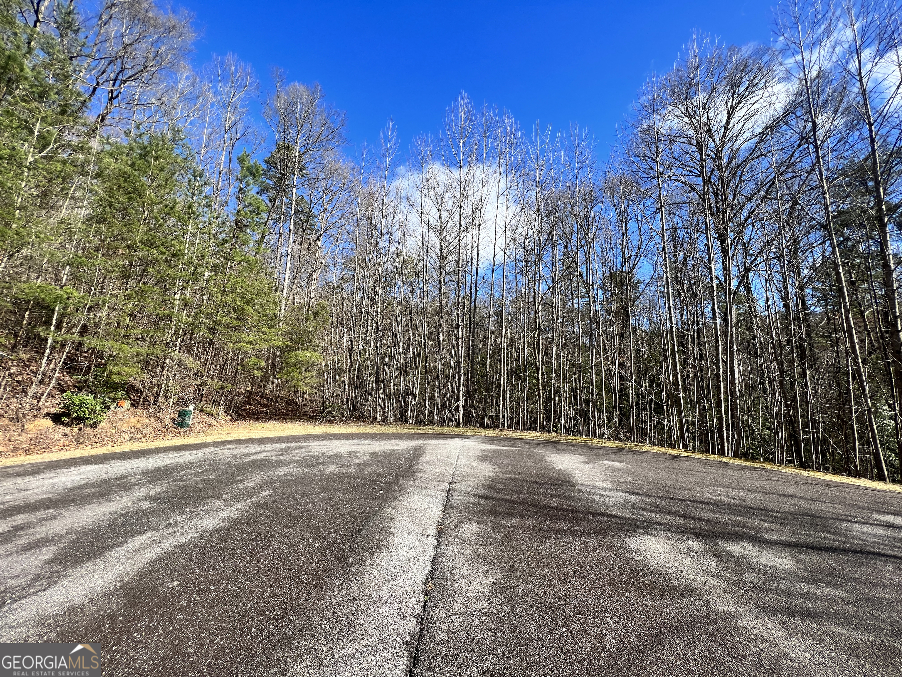 12-acres Still Road Clarkesville, GA 30523 - Photo 2 of 12 a view of outdoor space with trees