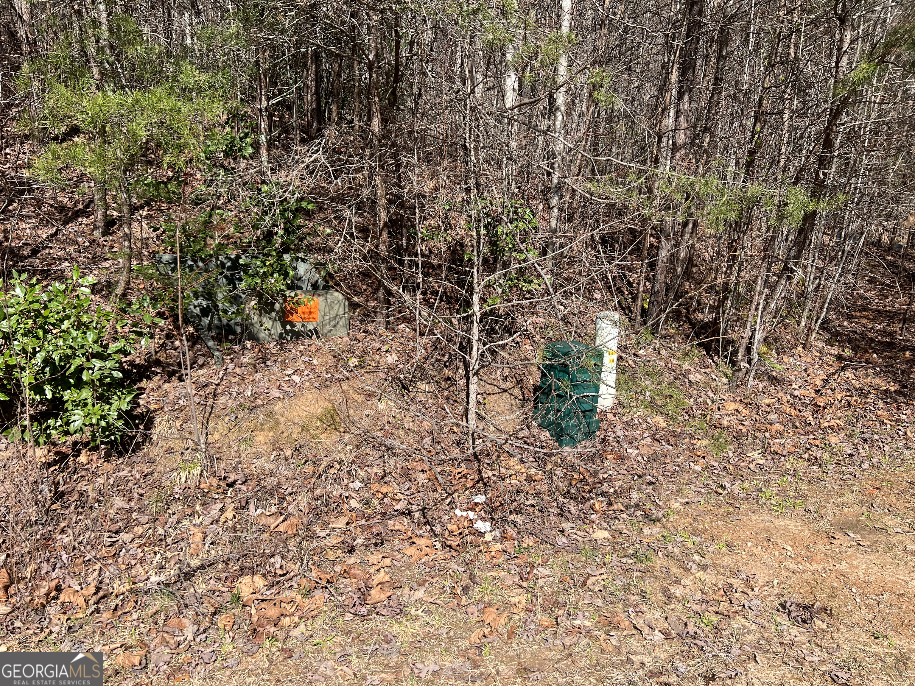 12-acres Still Road Clarkesville, GA 30523 - Photo 3 of 12