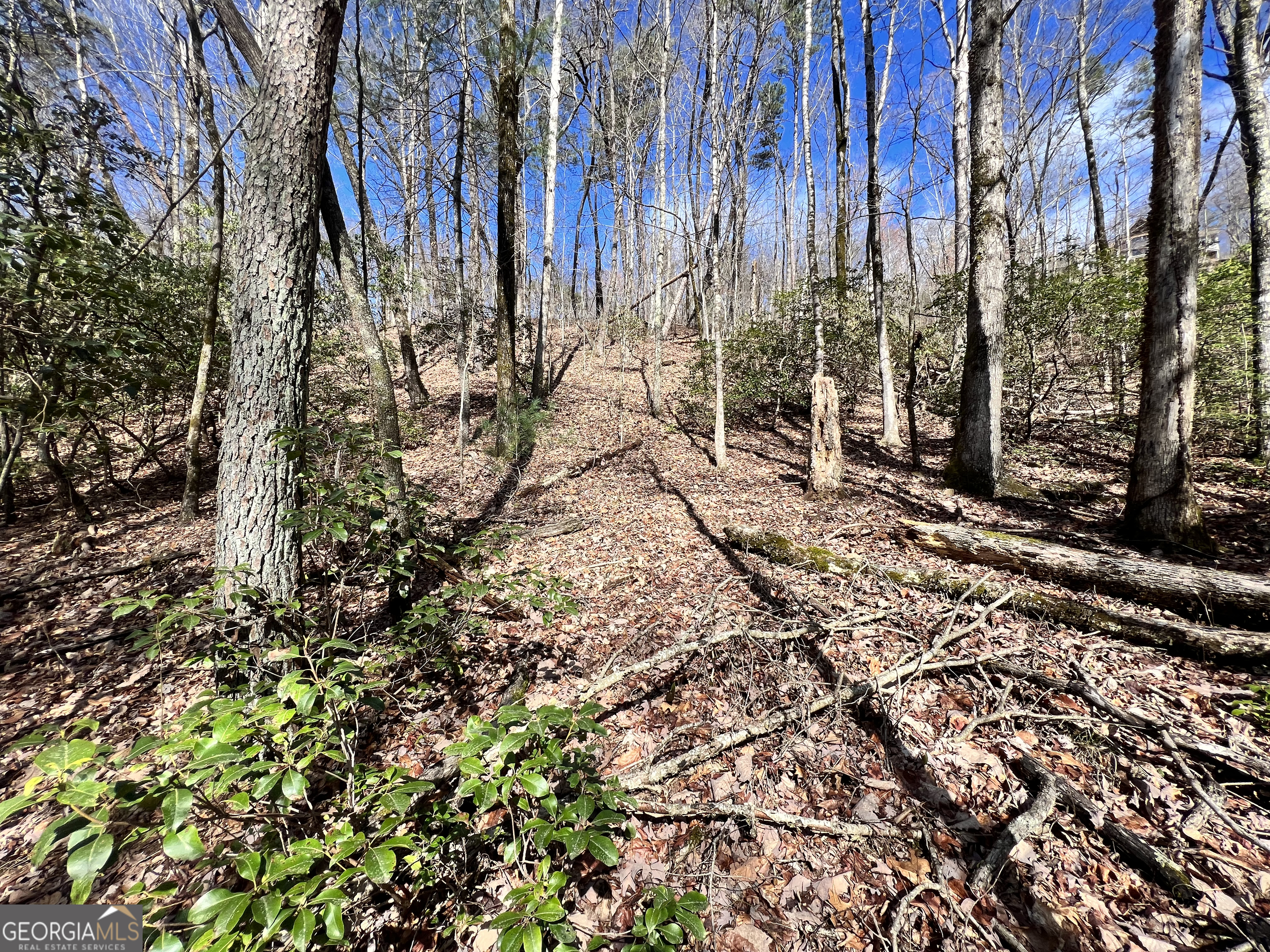 12-acres Still Road Clarkesville, GA 30523 - Photo 4 of 12 a view of a yard with trees