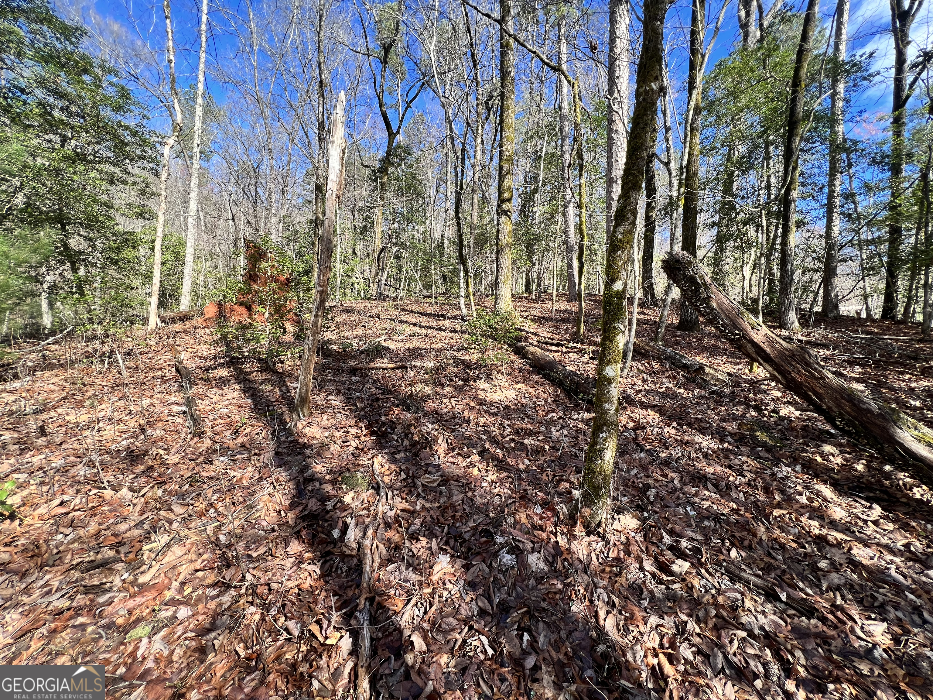 12-acres Still Road Clarkesville, GA 30523 - Photo 8 of 12 a backyard of a house with lots of green space