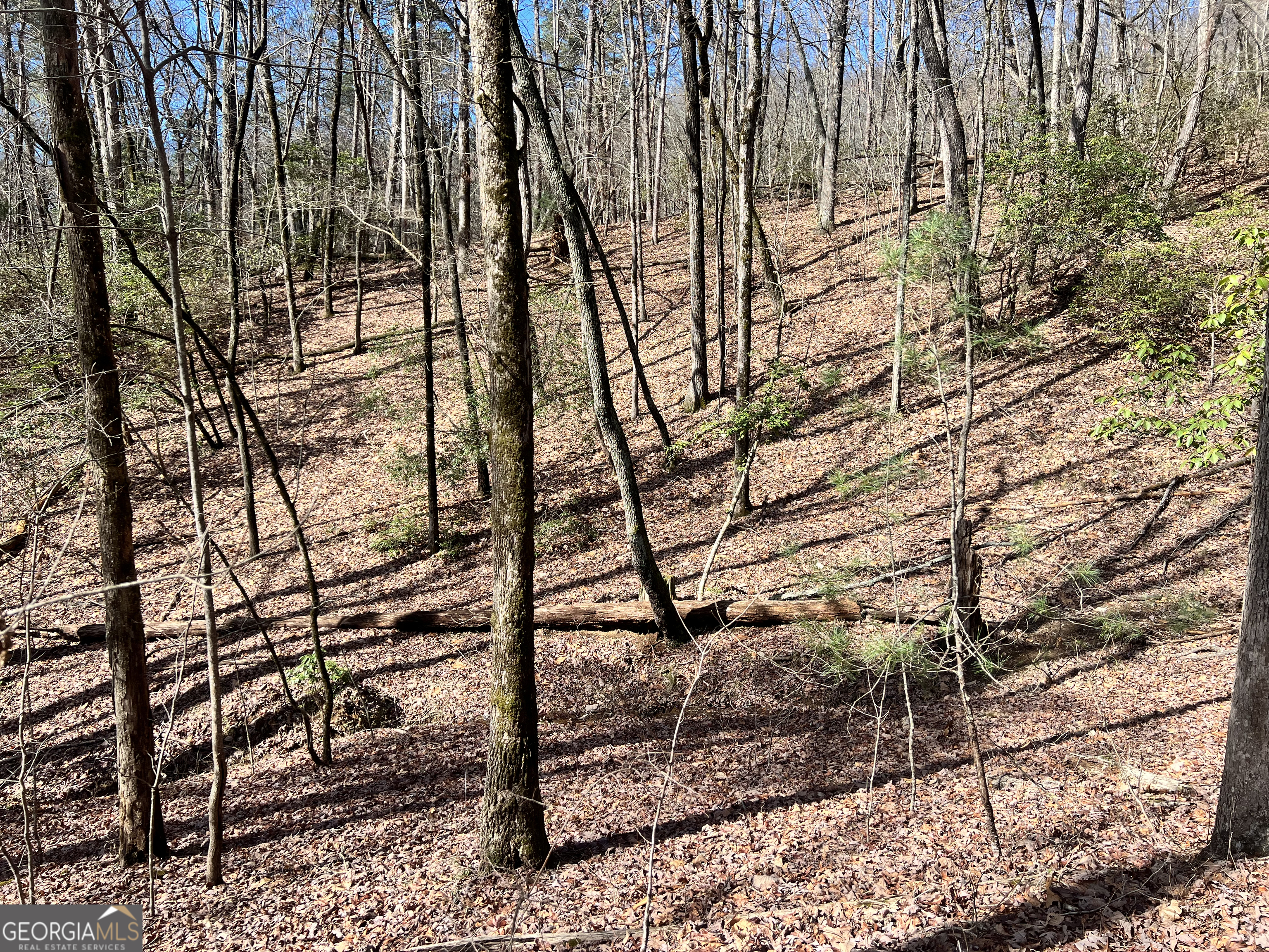 12-acres Still Road Clarkesville, GA 30523 - Photo 9 of 12