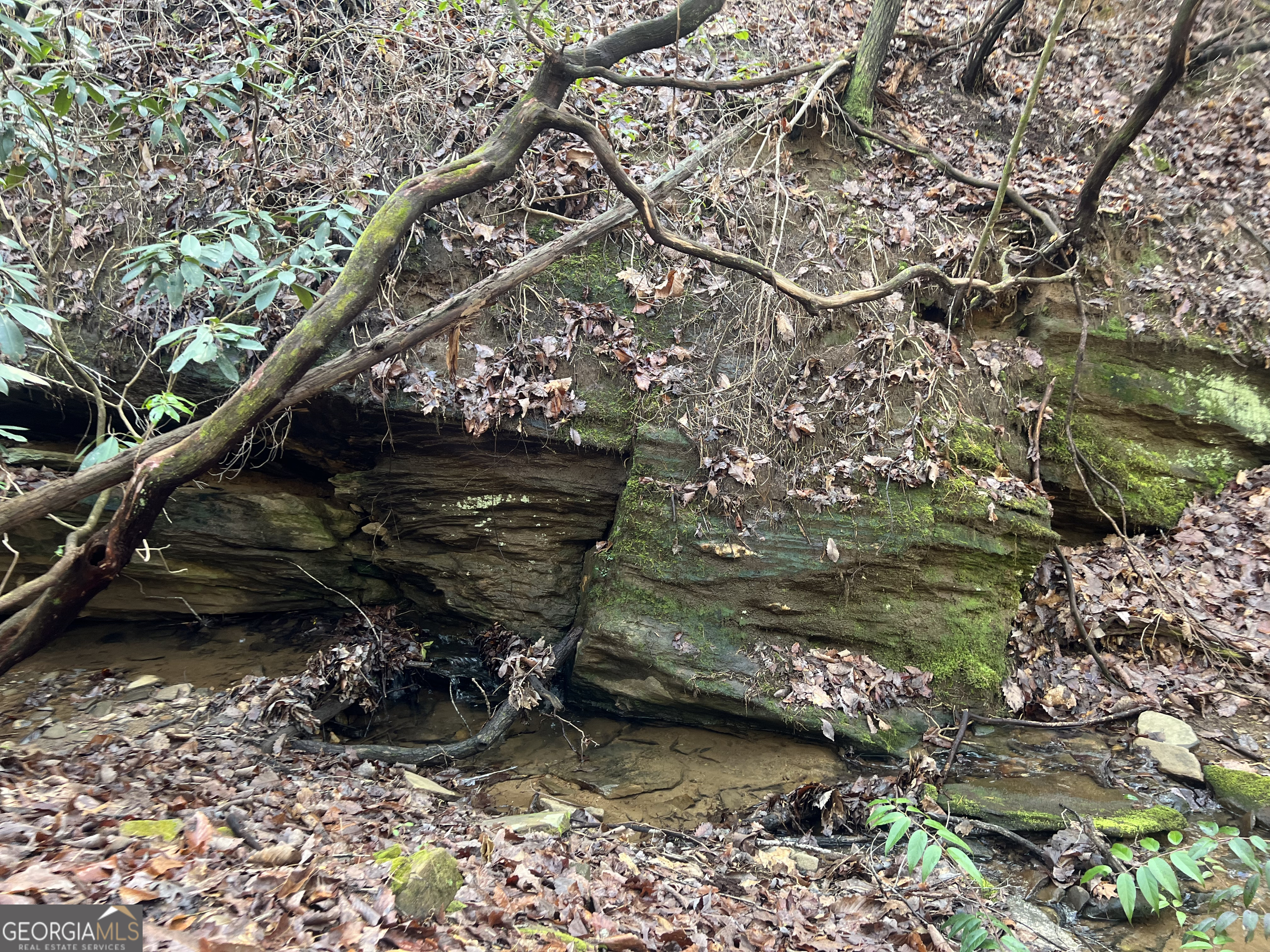 12-acres Still Road Clarkesville, GA 30523 - Photo 10 of 12 a view of a back yard of the house and green space