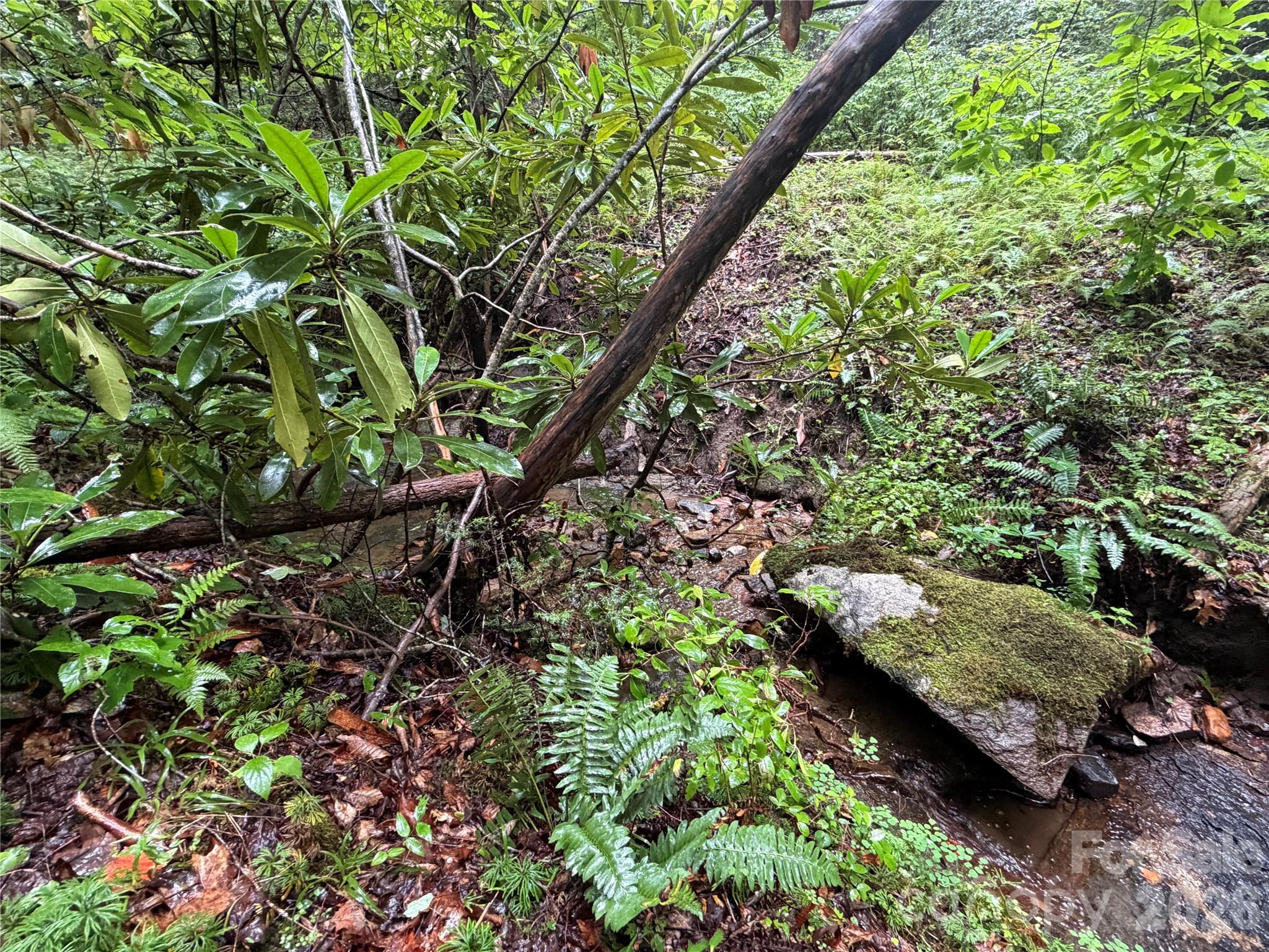 Off Donald McCall Road Balsam Grove, NC 28708 - Photo 3 of 47 Gallery Image 3