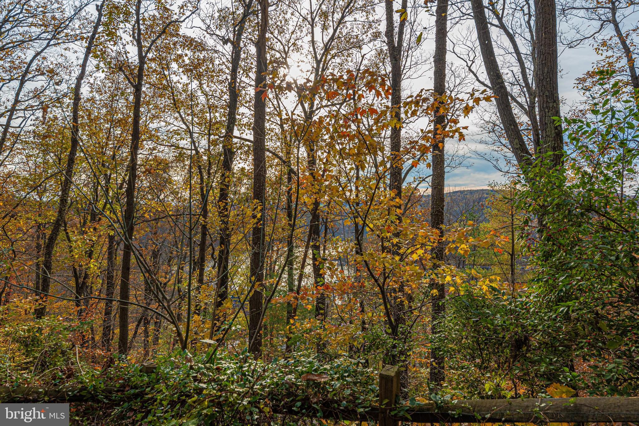 6510 Rimrock Road New Market, MD 21774 - Photo 47 of 74 Gallery Image 47