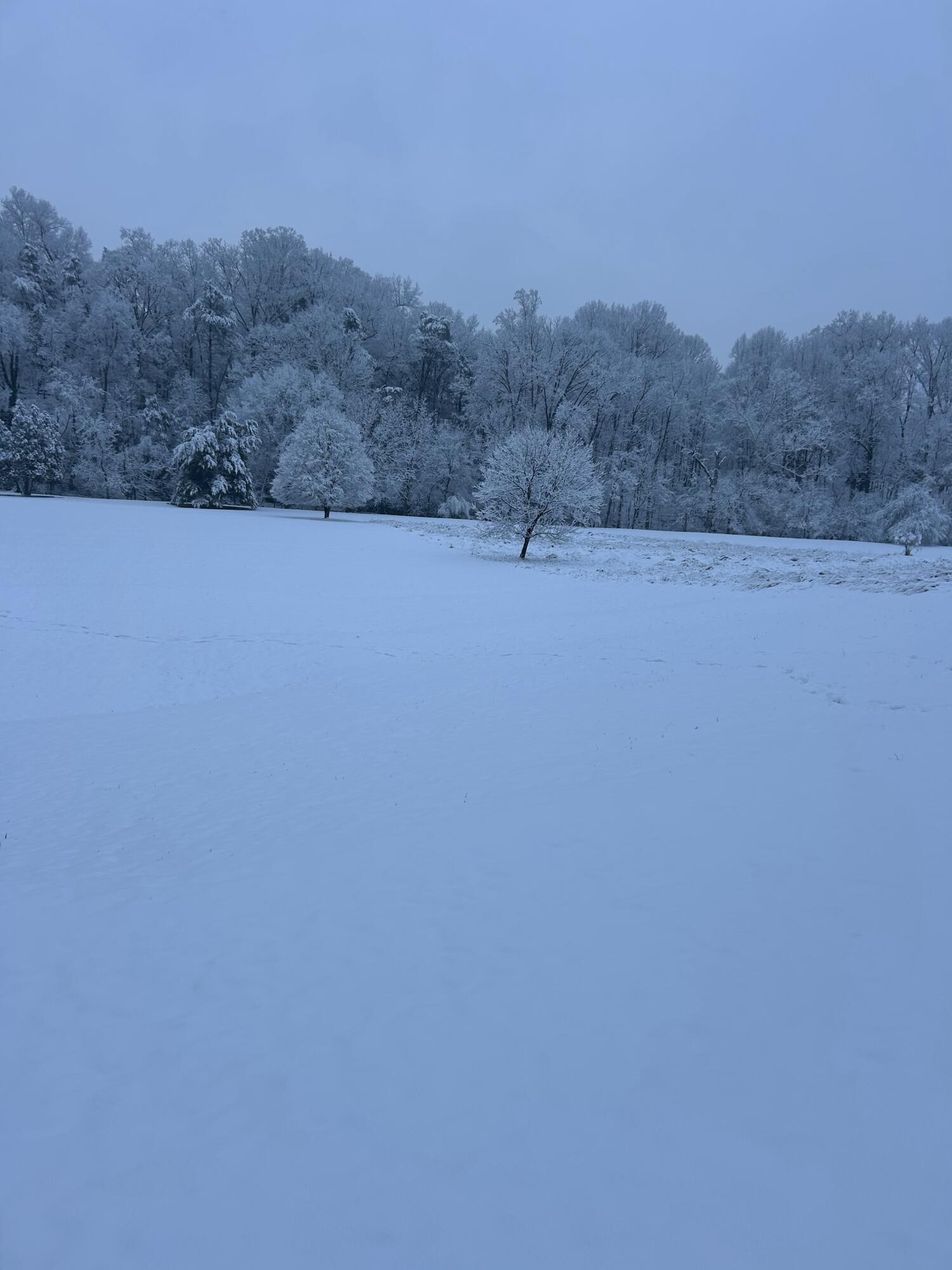 517 Boxley Road Roanoke, VA 24019 - Photo 75 of 76 winter wonderland