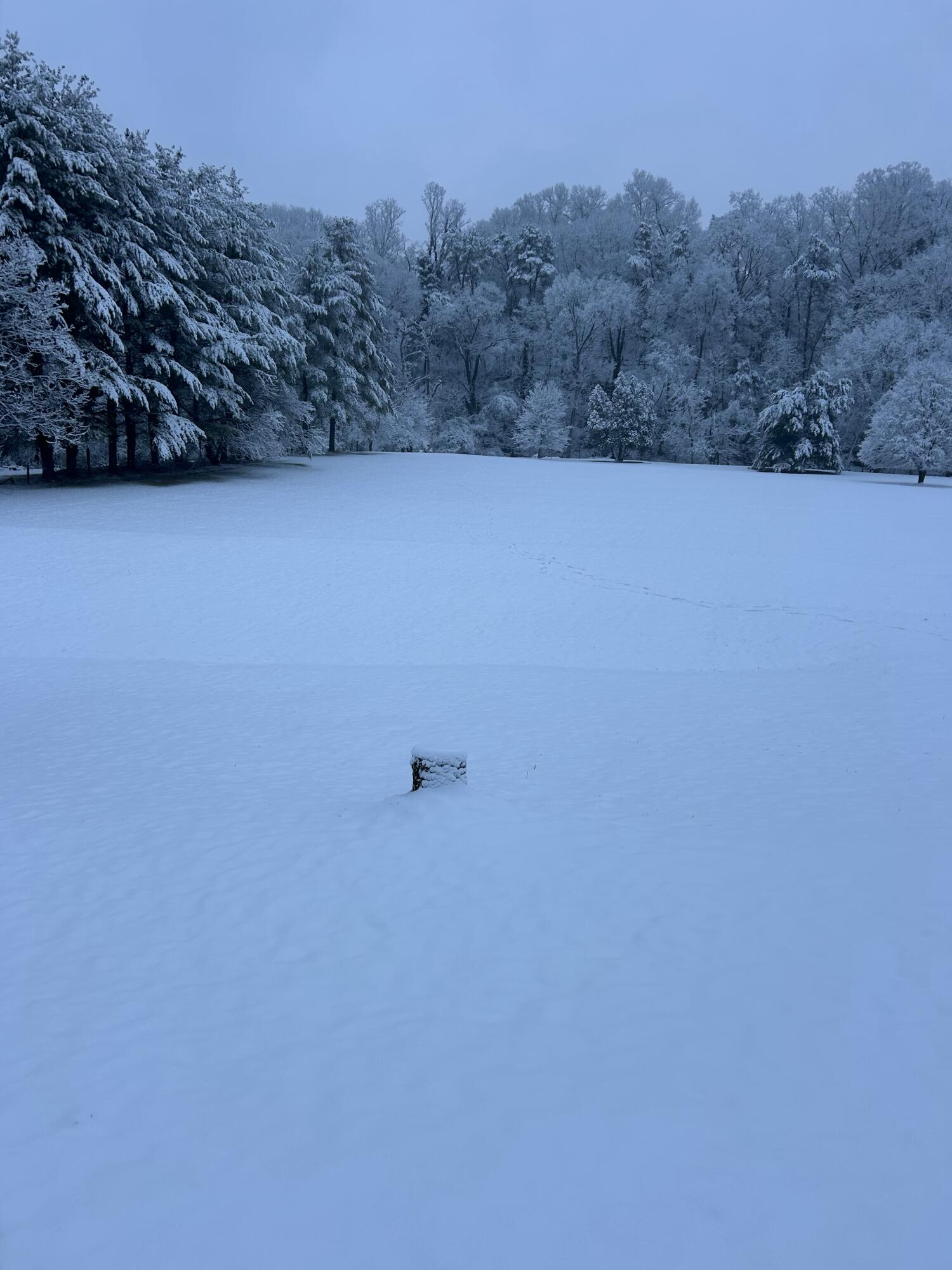 517 Boxley Road Roanoke, VA 24019 - Photo 76 of 76 winter 2025