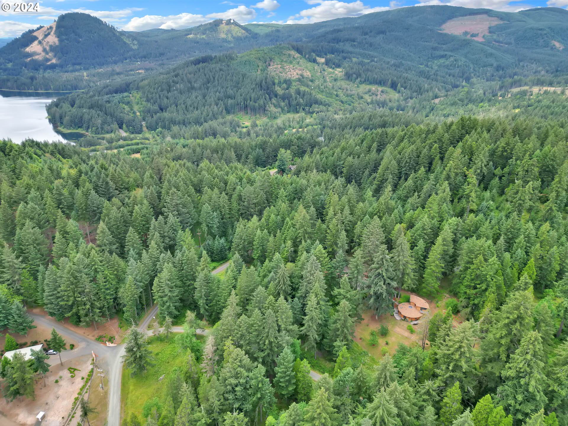 78000 Dorena Mountain Road Cottage Grove, OR 97424 - Photo 36 of 47 Gallery Image 36