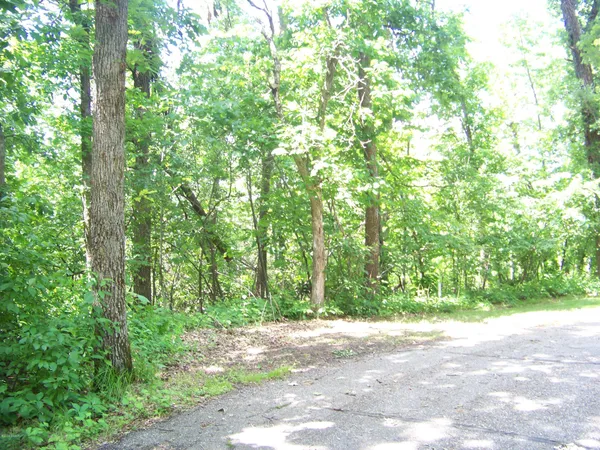 $10,000 | Lot 2 Oak Turnagain Court, Glenwood, MN 56334
