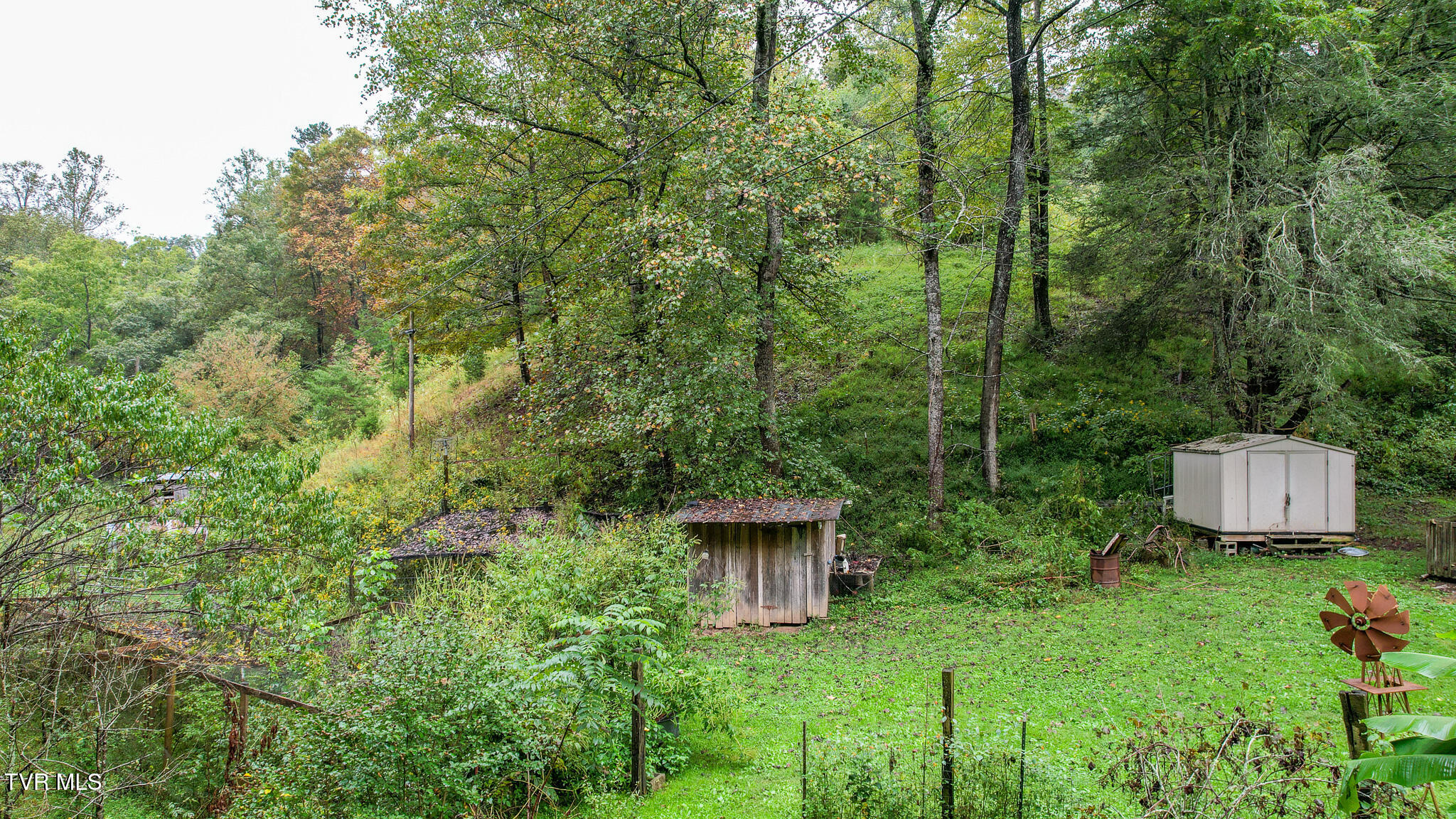 1515 Ned Clark Road Bean Station, TN 37708 - Photo 6 of 47 DJI_0641