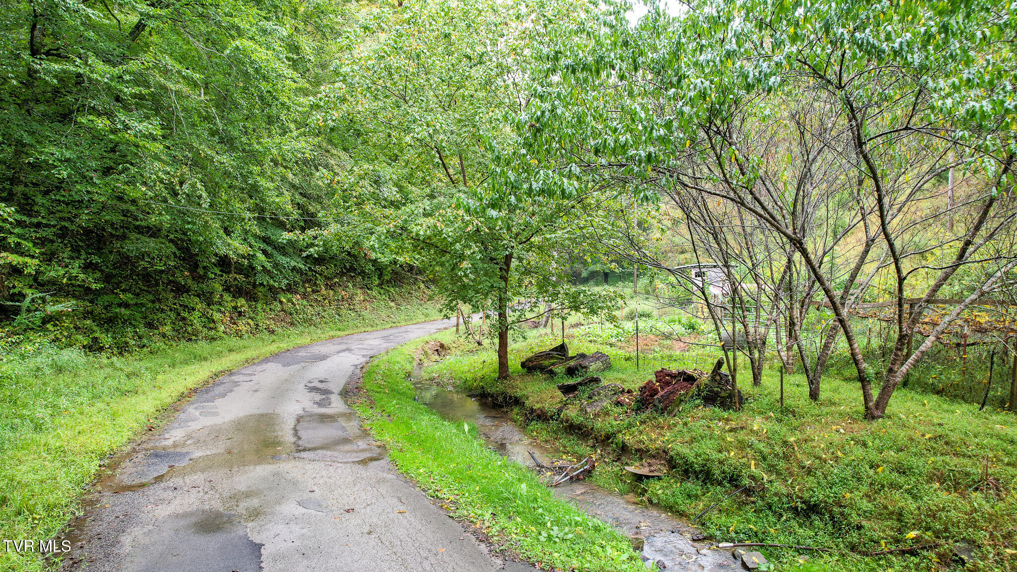 1515 Ned Clark Road Bean Station, TN 37708 - Photo 8 of 47 DJI_0645