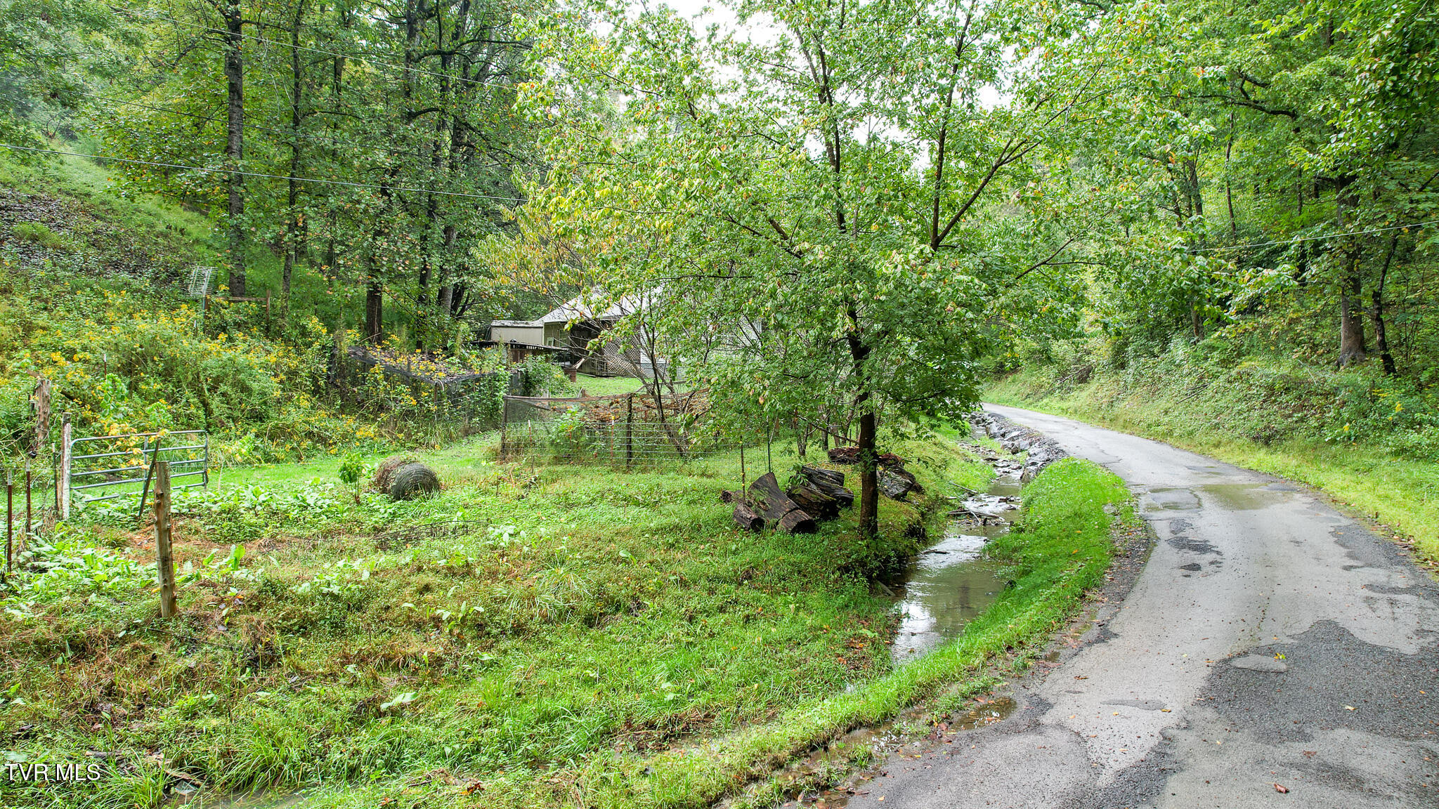 1515 Ned Clark Road Bean Station, TN 37708 - Photo 10 of 47 DJI_0653