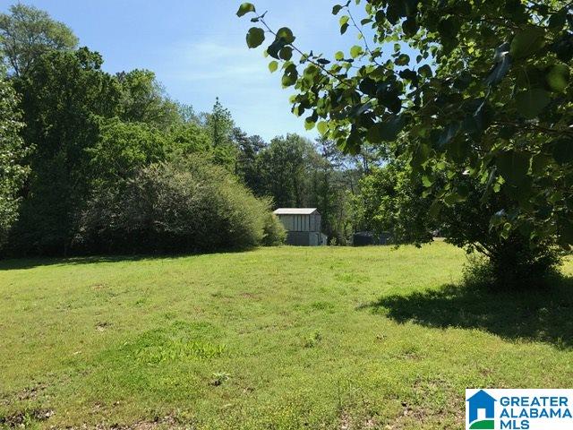 9 Waldrop Road Ashville, AL 35953 - Photo 1 of 5