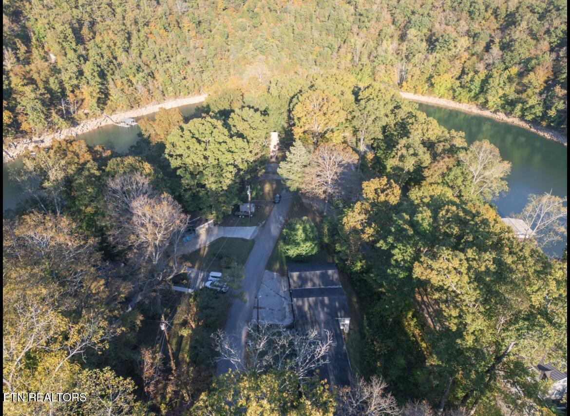 960 Indian River Boat Dock Road Jacksboro, TN 37757 - Photo 7 of 16 IMG_1442
