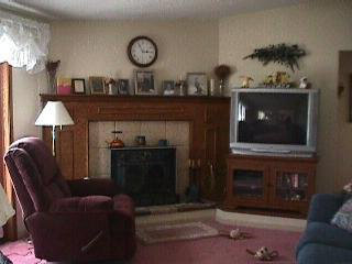8160 Strong Road Newport, MI 48166 - Photo 3 of 5 714310-2.JPG
