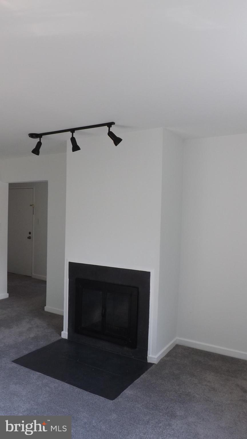 2206 Washington Avenue, Unit 302 Silver Spring, MD 20910 - Photo 16 of 26 a living room with a fireplace