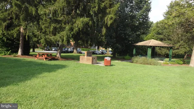 a small garden covered with tall trees