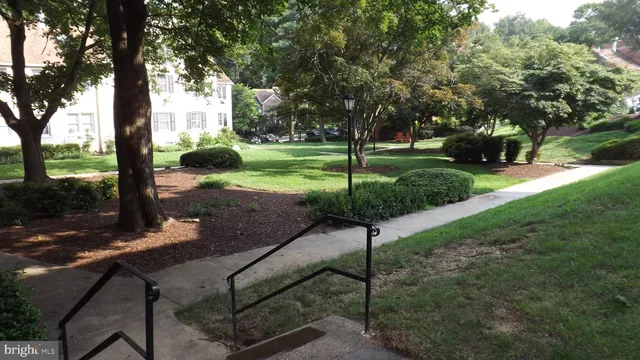 a view of a park with large tree