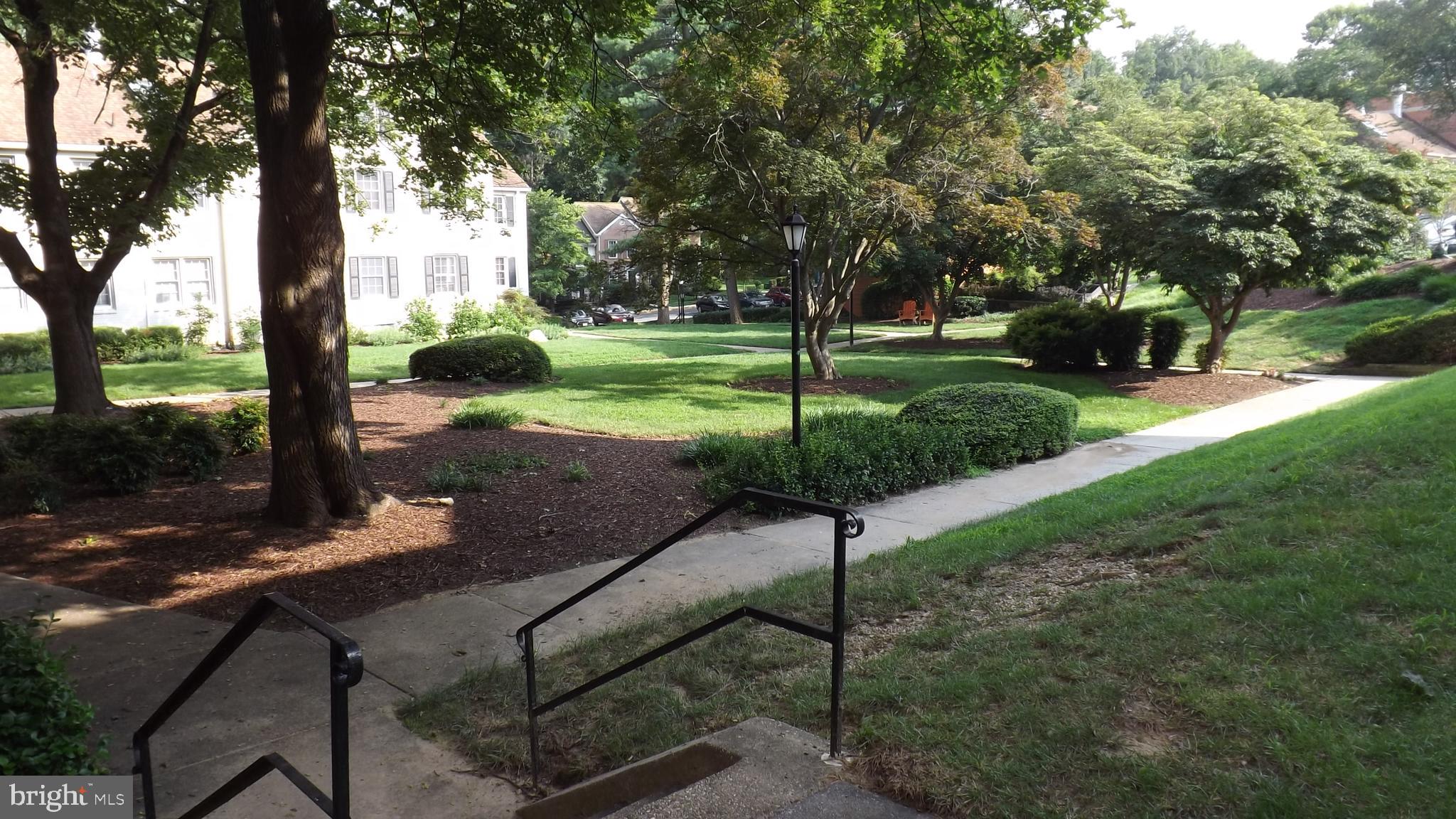 2206 Washington Avenue, Unit 302 Silver Spring, MD 20910 - Photo 23 of 26 a view of a park with large tree