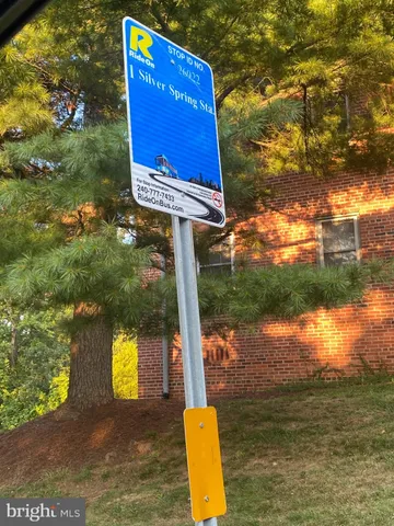 a view of a back yard of the house
