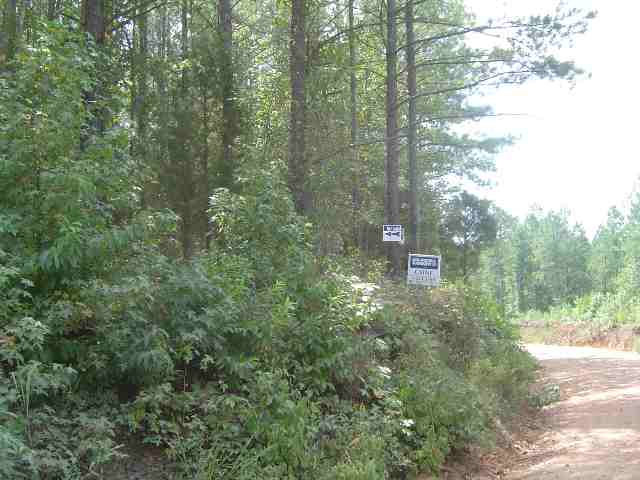 0 Calhoun Road Dewy Rose, GA 30635 - Photo 3 of 5