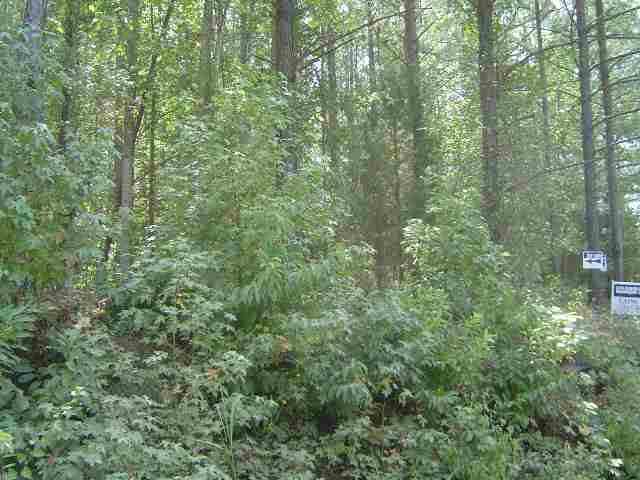 0 Calhoun Road Dewy Rose, GA 30635 - Photo 4 of 5