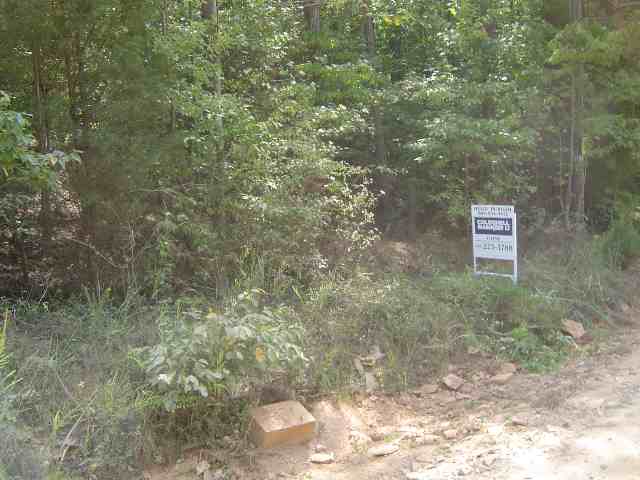0 Calhoun Road Dewy Rose, GA 30635 - Photo 5 of 5