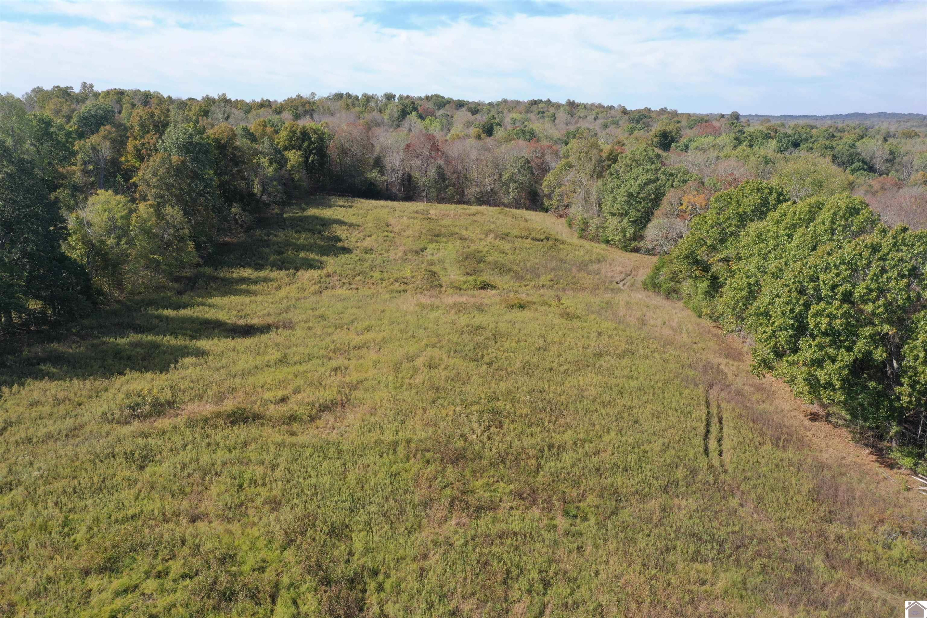 0 Princeton Olney Road, Unit FARM 3 Princeton, KY 42445 - Photo 8 of 9 Photo 8